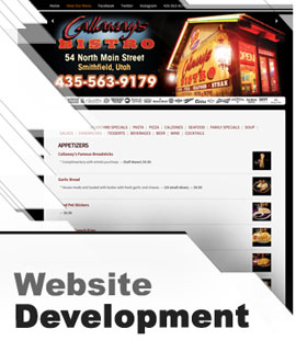 Lott Multimedia Website Development Services